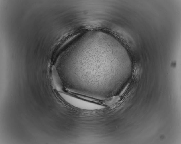X0000098151012200805011402