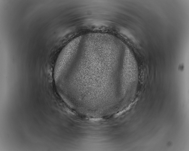 X0000098151013200805011402