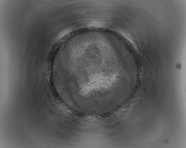 X0000098151015200805011402