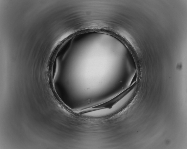 X0000098151018200805011402