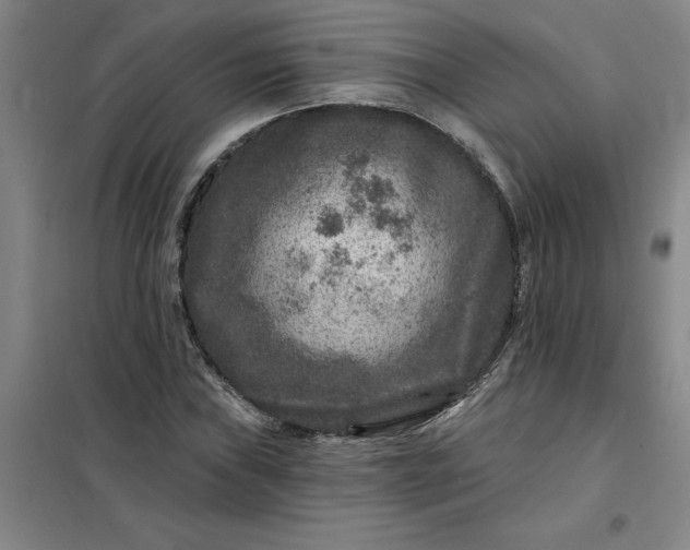 X0000098151019200805011402
