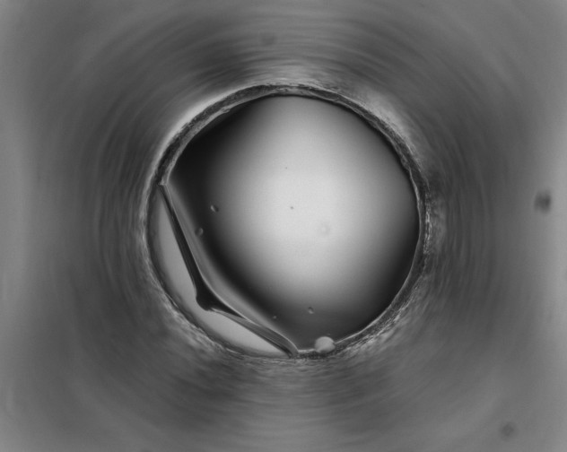 X0000098151020200805011402