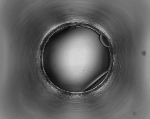 X0000098151021200805011402