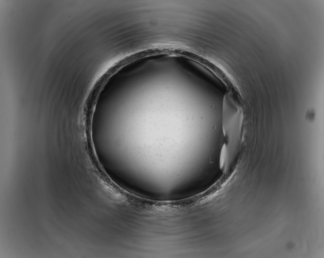 X0000098151022200805011402