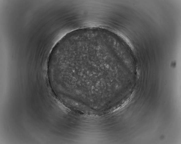 X0000098151023200805011402