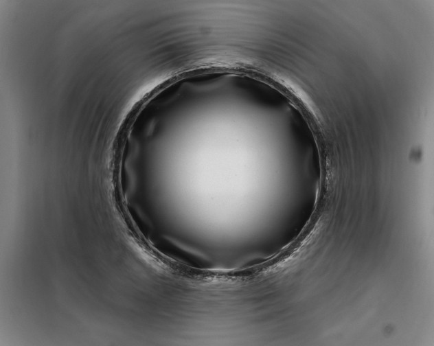 X0000098151026200805011403