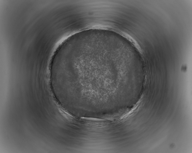 X0000098151027200805011403