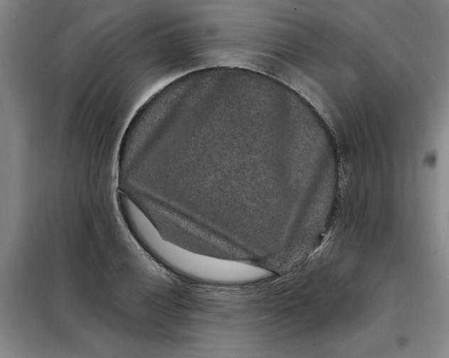 X0000098151028200805011403