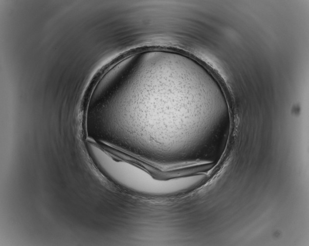 X0000098151029200805011403