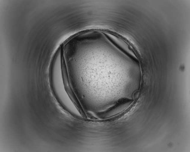 X0000098151030200805011403