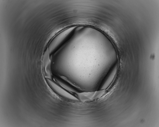 X0000098151033200805011403