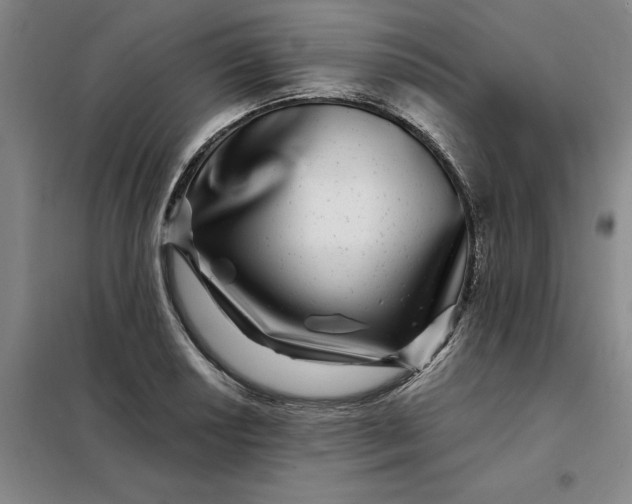 X0000098151034200805011403