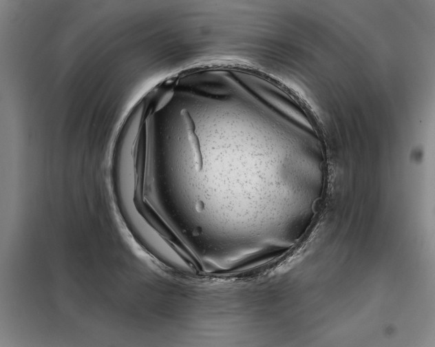 X0000098151038200805011403
