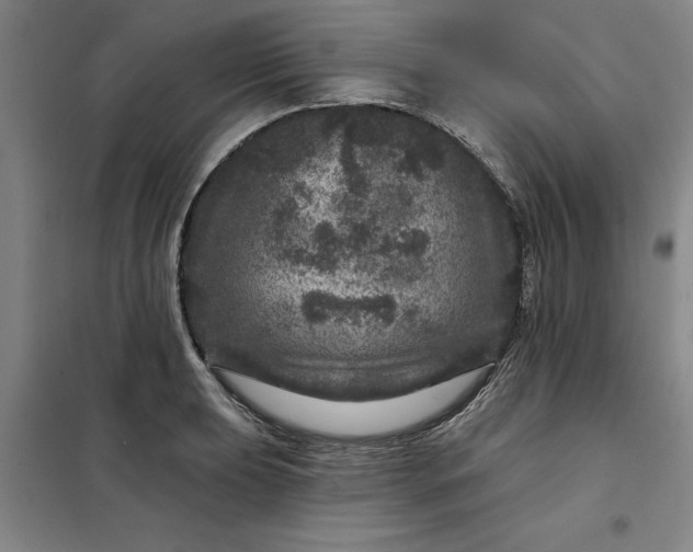 X0000098151039200805011403