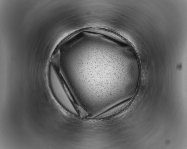 X0000098151040200805011403
