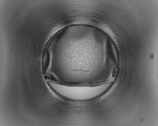 X0000098151041200805011403