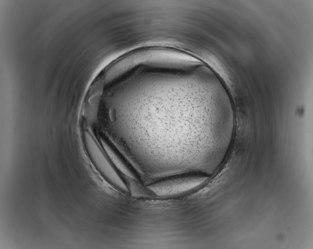 X0000098151044200805011403