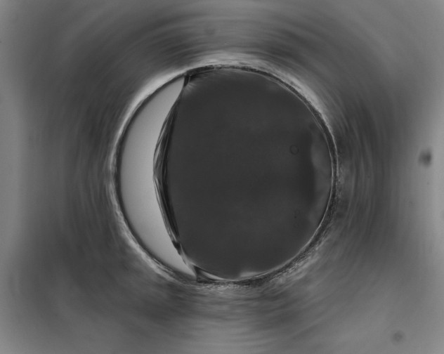 X0000098151045200805011403