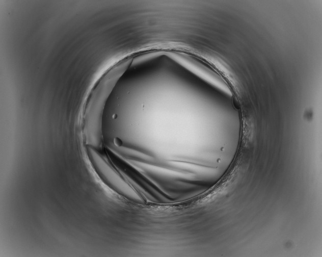 X0000098151046200805011403