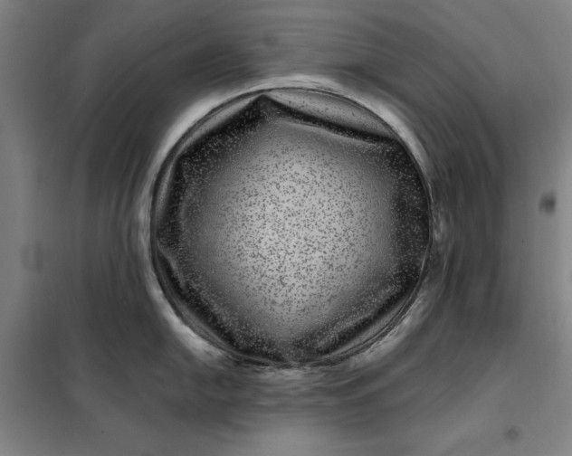 X0000098151054200805011403