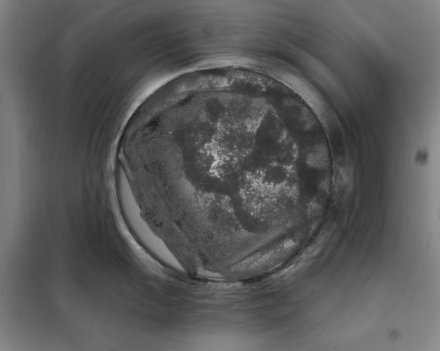 X0000098151055200805011403