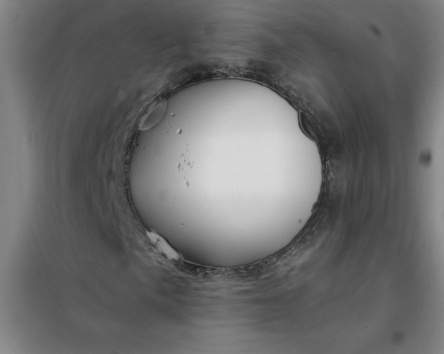 X0000098151057200805011402