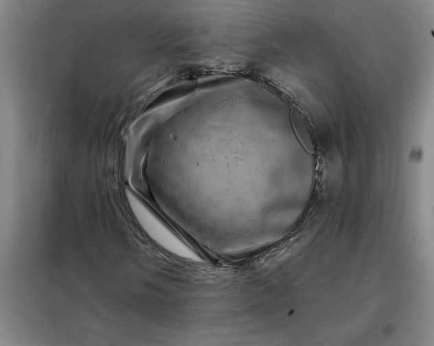 X0000098151058200805011402