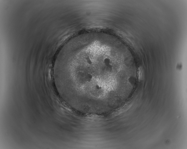 X0000098151059200805011402