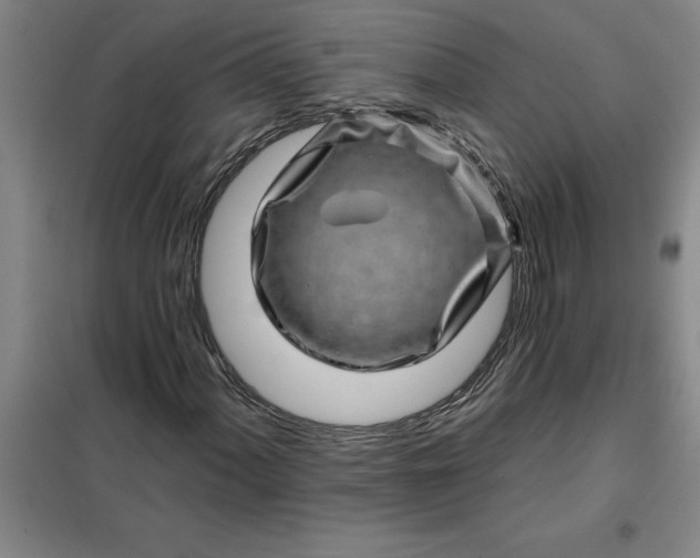 X0000098151060200805011402