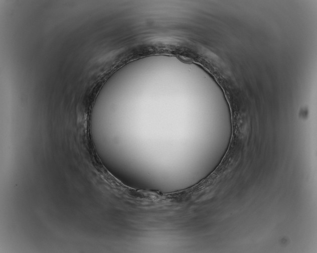 X0000098151061200805011402