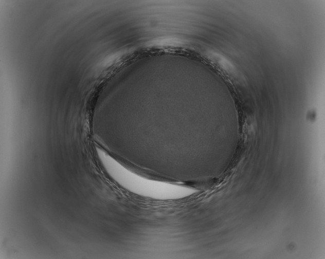 X0000098151062200805011402