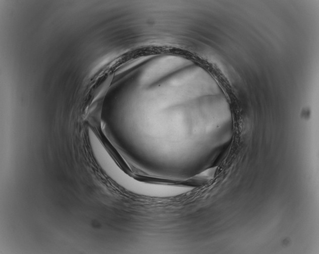 X0000098151064200805011402