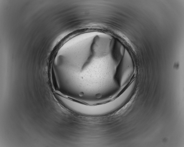 X0000098151066200805011402