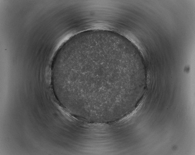 X0000098151067200805011402