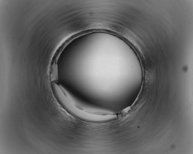 X0000098151068200805011402