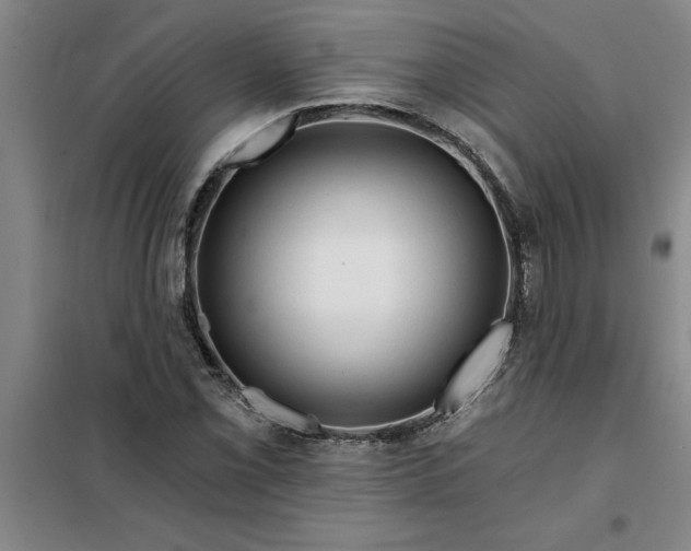 X0000098151069200805011402