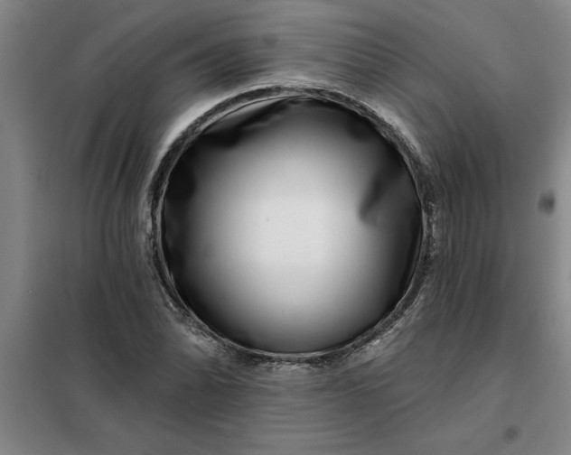 X0000098151070200805011402
