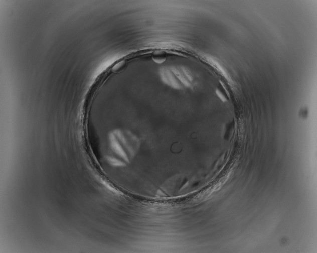 X0000098151071200805011402
