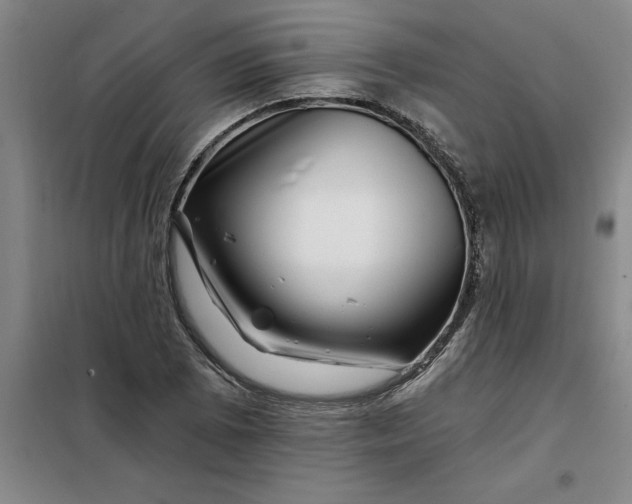 X0000098151073200805011402