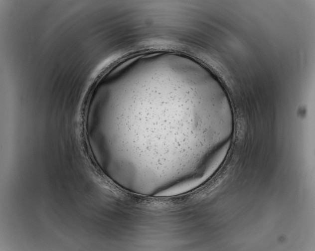 X0000098151074200805011402