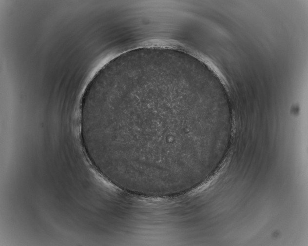 X0000098151075200805011402