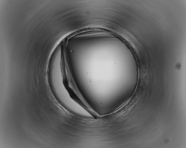 X0000098151076200805011402