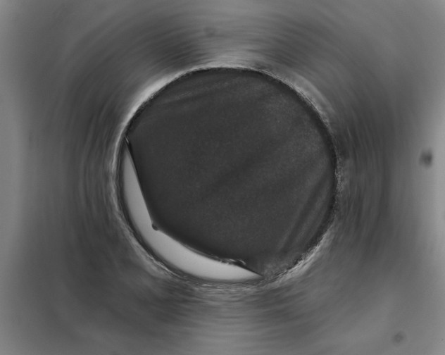 X0000098151077200805011402