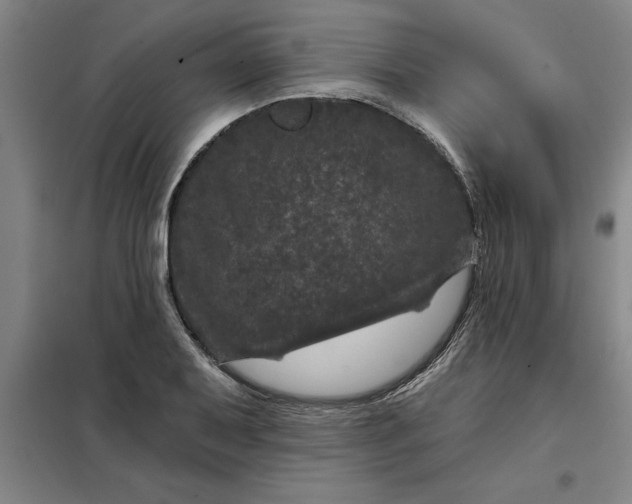 X0000098151079200805011402