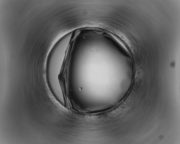 X0000098151080200805011402