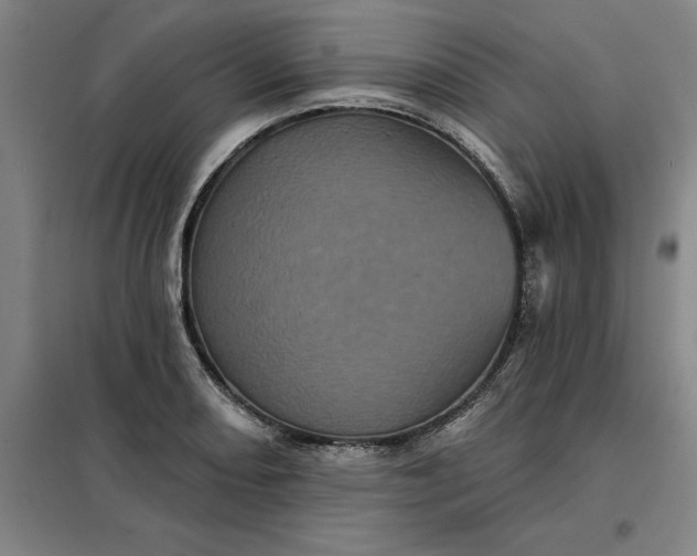 X0000098151082200805011402