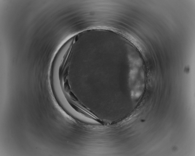 X0000098151084200805011402