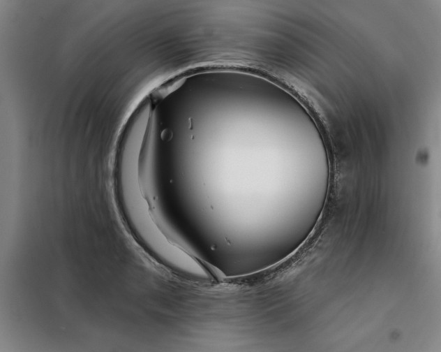 X0000098151085200805011402
