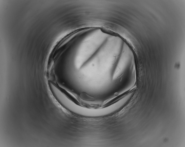 X0000098151088200805011402