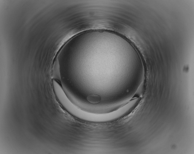 X0000098151089200805011402
